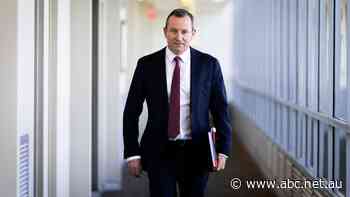 Live: WA budget gives households $400 power bill credit as multi-billion dollar surplus confirmed