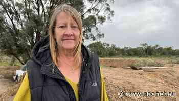 Claire lost 1,500 chickens during Victoria's floods. Months on from the disaster, new life is emerging