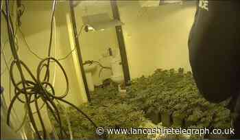 Huge cannabis grow uncovered by police in Preston