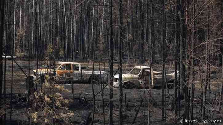 Wildfires threatening nine First Nations in Alberta: Indigenous Services Canada