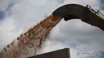 Die ukrainische Wirtschaft ist trotz dem Krieg widerstandsfähig – dennoch werden finanzielle Opfer erforderlich sein