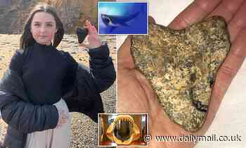 Schoolgirl, 12, finds huge 20million-year-old tooth from the biggest shark in history on beach 