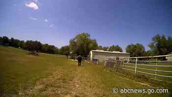 Police find 'very upset goat' while responding to 'person' crying for help