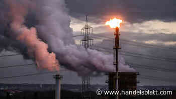 Sparkchange: Rendite und Klimaschutz? Die zweifelhaften Versprechen eines Fintechs