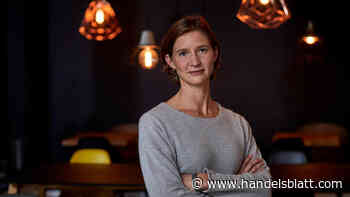 Risikokapital: Investorenklub hält nachhaltige Investments für krisenfest – aber noch fehlen einheitliche Standards