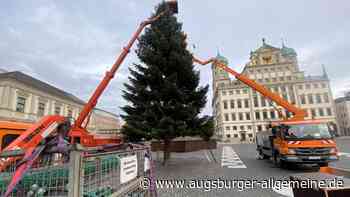 Ja, ist denn heut' scho Weihnachten? Augsburger Marktamt sucht Christbaum