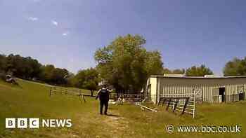 WATCH: Police mistake goat for man yelling 'help'