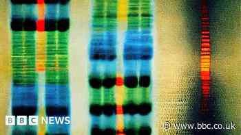 Updated DNA map better reflects human diversity
