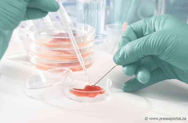 Tiergesundheit in Krisenzeiten essenziell für Tier-, Umwelt- und Klimaschutz