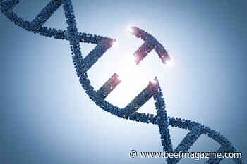 FDA, NIST to provide key tool for animal biotechnology developers