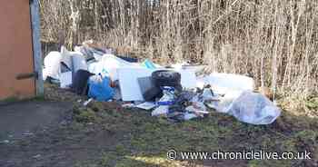 Washington man whose van was used to illegally dump household waste avoids jail