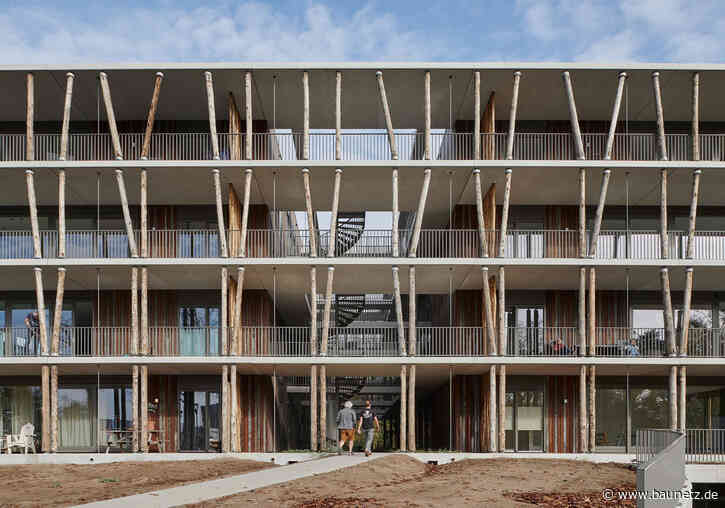 Baumstämme als Bauelemente
 - Wohnungsbau von GAAGA in Eindhoven