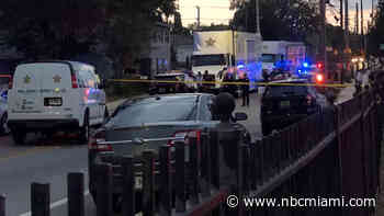 13-Year-Old on Probation Shoots Florida Officer During Chase: Police Chief