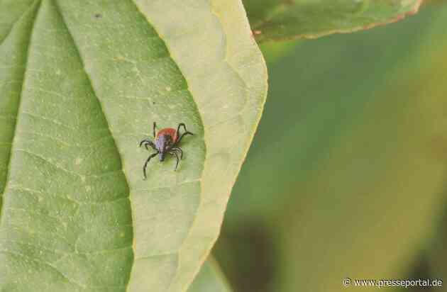 Zecken und FSME - Vorsorge besser als Nachsorge / Umfrage zeigt: Jede:r zweite Deutsche wurde bereits von Zecken gestochen, doch nur jede:r Dritte sorgt durch FSME-Impfung vor
