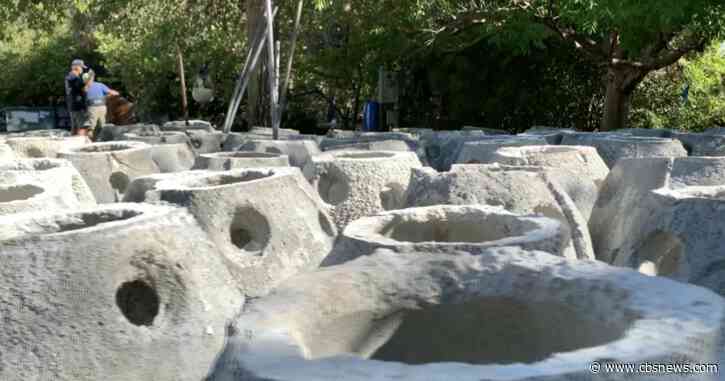 Bathroom to Bay: How old toilets are being transformed into a sea life habitat in Tampa Bay