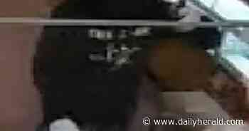 Police: Suspects wielding a gun and a hammer robbed Stratford Square Mall store