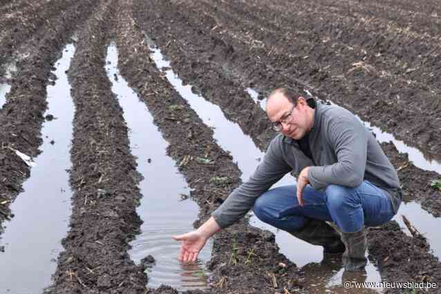 Uitzonderlijk nat voorjaar tergt land- en tuinbouwers: “Misschien zijn aardappelen al aan het rotten, dat weten we pas binnen drie weken”