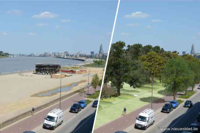 Zestigtal buren Nieuw Zuid niet te spreken over plannen Stadsbos op Ledeganckkaai: “We zijn hier speciaal komen wonen voor het Scheldezicht”