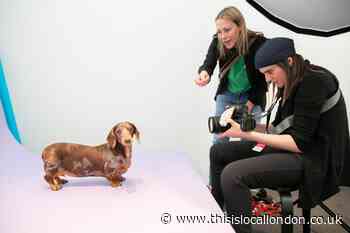 2023 Affordable Art Fair gets underway on Hampstead Heath