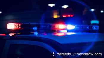 Woman arrested after 'barricade situation' on Leander Drive in Norfolk