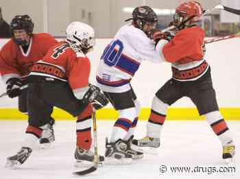 For NHL Players, More Fighting on the Ice Is Linked to Shorter Lives