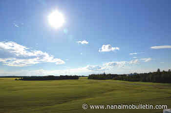 Take precautions in warm weather to keep kids safe, B.C. police advise