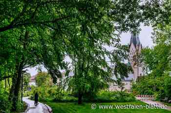 Noch etwas Geduld gefragt: Paderquellgebiet wird 2025 restauriert