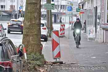 Herford: Grüne fordern Radstreifen an allen großen Straßen