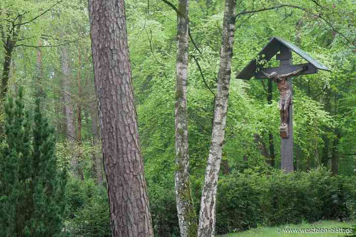 Neues Konzept für Waldfriedhof  Bad Lippspringe