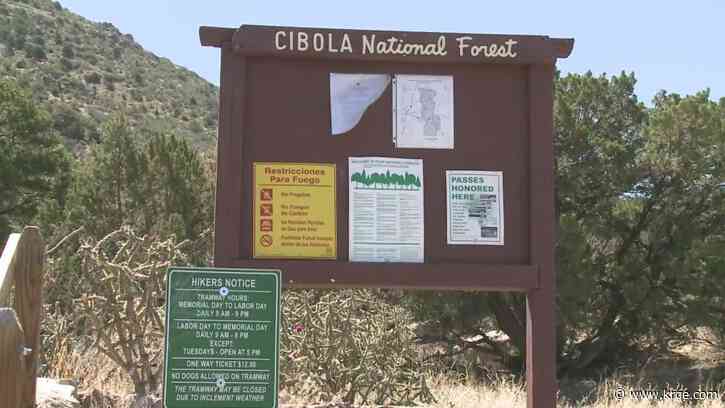 Prescribed burn planned in Cibola National Forest