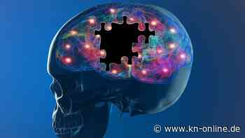 Parkinson: Sind Bakterien verantwortlich?