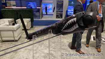 After ‘inflection point’ of Ukraine, Switchblade maker AeroVironment unveils upgrades, goes global