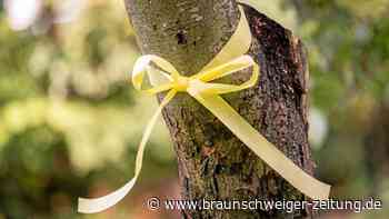 Das bedeutet das gelbe Band an Niedersachsens Obstbäumen