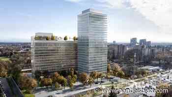 Nachhaltiges Bauen: Große Pläne für den Holzbau