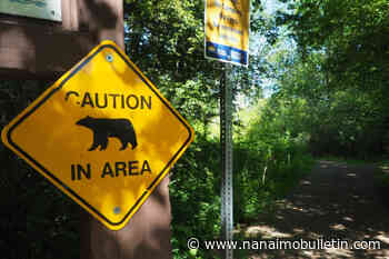 Caution advised after bears spotted at Nanaimo’s Westwood Lake this morning