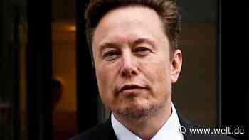 Elon Musk will als Twitter-Chef zurücktreten – Nachfolgerin angekündigt