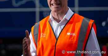 Labor proved savvy in lead-up to election