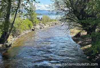 Woman dies after falling in creek in West Kelowna