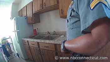 Inspector General Releases Details About Shooting Involving Trooper in Brooklyn