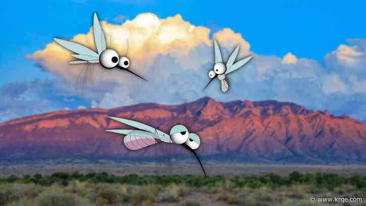 Mosquito season ramps up, Albuquerque urges preps to keep bites at bay