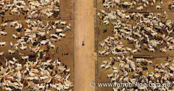 Live-ex class action success a landmark moment for beef