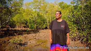 'They need to be protected at all costs': Traditional owners fear for cultural sites at $1.5 billion industrial hub