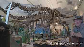 New dinosaur museum opens in Colorado mountains