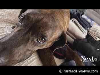 Welcome to the family, Abbey