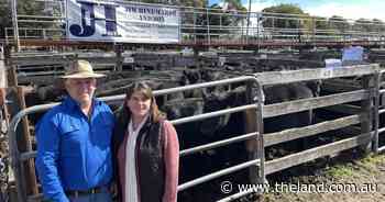 Braidwood steers to $1550 at annual weaner sale