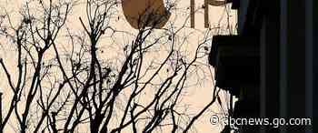 Italy's antitrust watchdog probes Apple over competition in app market