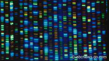 DNA project gives scientists diverse genome for comparison