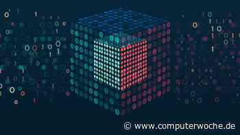 Für Machine- und Deep Learning: 14 KI-Algorithmen, die Sie kennen sollten