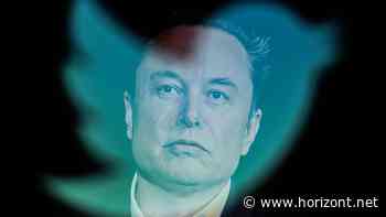 Kurznachrichtendienst: Twitter bekommt neue Chefin - Musk will im Juni übergeben