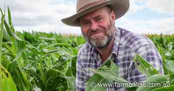 Fall armyworm's research to examine broadacre threat